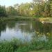 Great Fishing Close to Home and No Skunks!