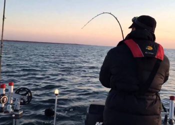 lake michigan salmon fishing