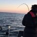 lake michigan salmon fishing