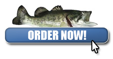 Order Bass Fishing 101