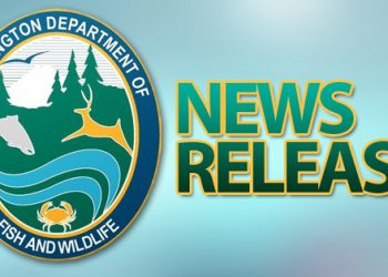 Get Outside Close To Home This Holiday Season – Dailyfly.com Lewis-Clark Valley Community