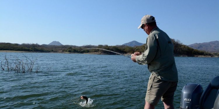 20 tips on how to become a better bass angler