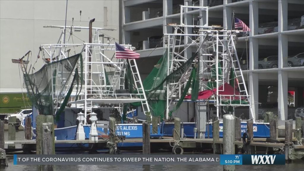 Commercial and recreational fishing season opens