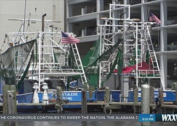 Commercial and recreational fishing season opens