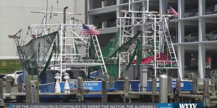 Commercial and recreational fishing season opens