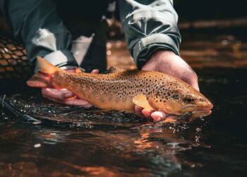 Euro streamers: Buying, tying and fishing 'jig bombs' | Hatch Magazine