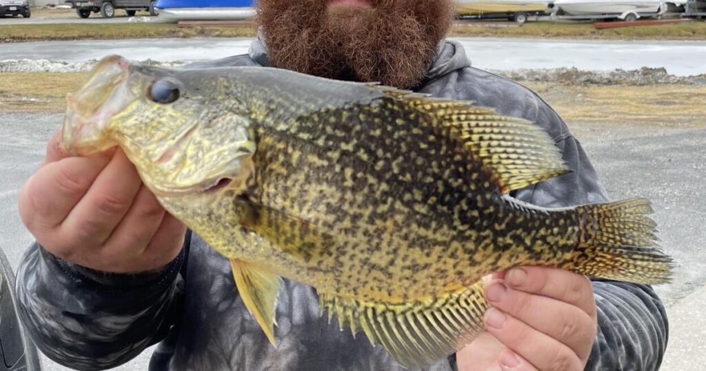 Gene Chague: Ice fishing, ice safety, hunting tips and more - Berkshire Eagle