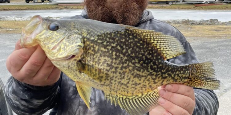 Gene Chague: Ice fishing, ice safety, hunting tips and more - Berkshire Eagle