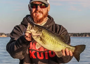 How and Why to Fish a Heavy Spinnerbait Shallow