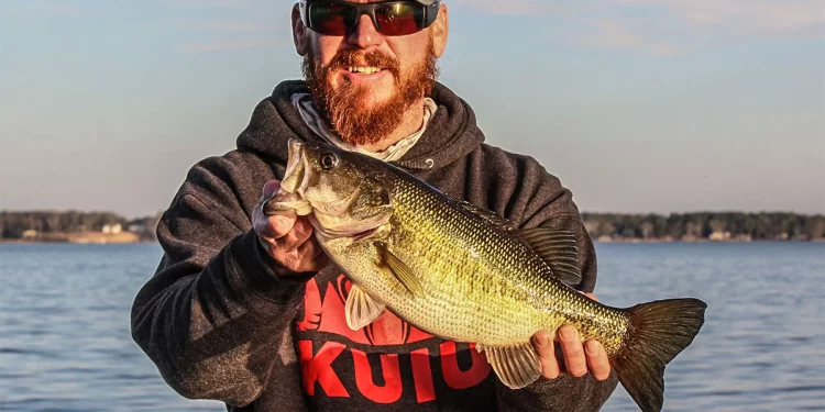 How and Why to Fish a Heavy Spinnerbait Shallow