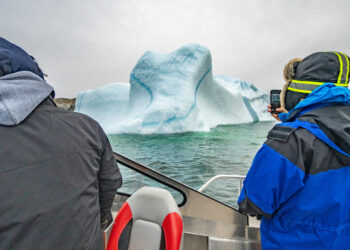 In Search of Iceberg Alley’s Spectacular Show
