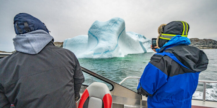 In Search of Iceberg Alley’s Spectacular Show