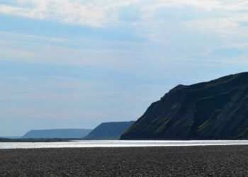 Does the 'discovery' of salmon in the Arctic forecast a shift in habitat? | Hatch Magazine