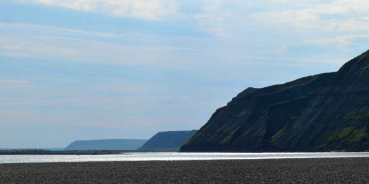 Does the 'discovery' of salmon in the Arctic forecast a shift in habitat? | Hatch Magazine