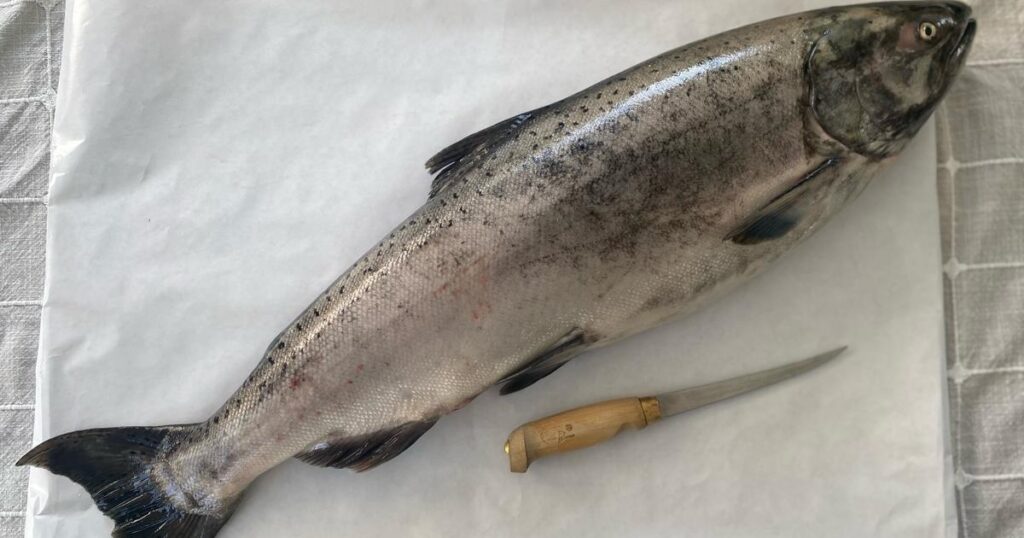 Salmon and Steelhead Processing Tips
