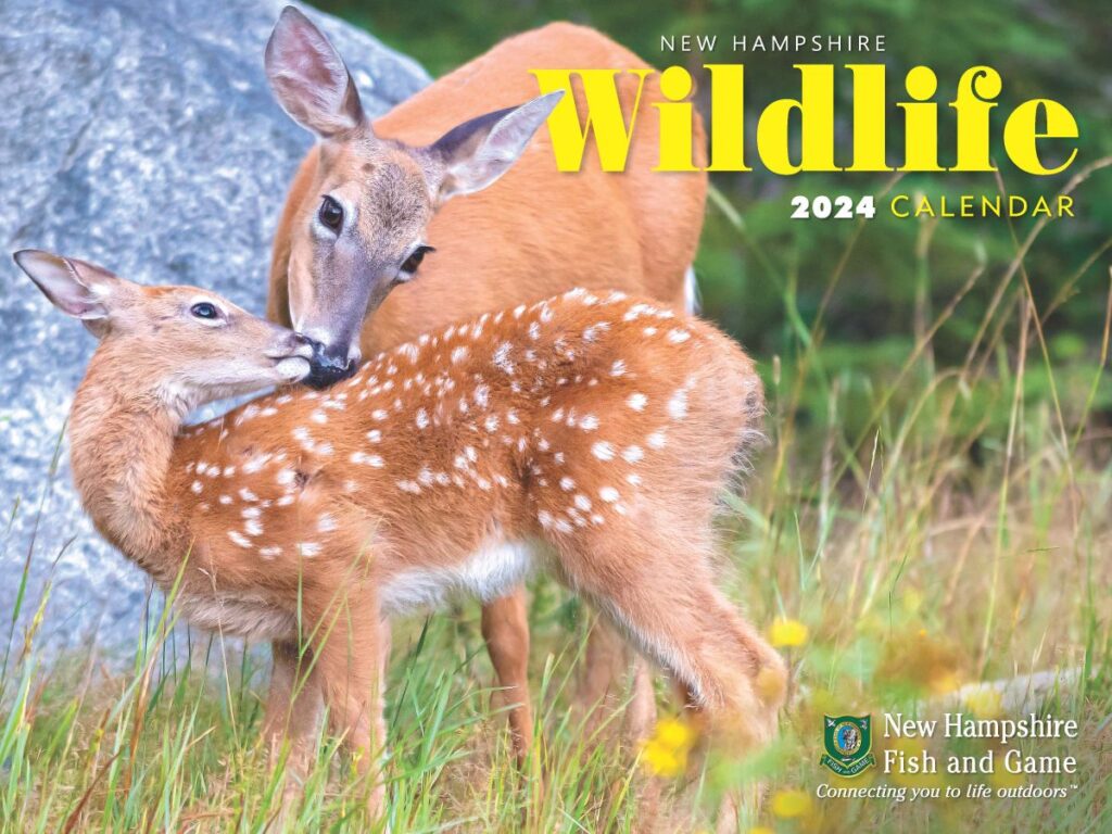 The New Hampshire Wildlife Calendar Is a Great Fundraiser for Schools, Clubs, and Local Businesses – NH Fish and Game Department