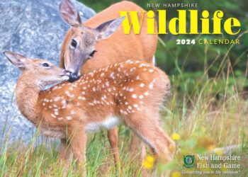 The New Hampshire Wildlife Calendar Is a Great Fundraiser for Schools, Clubs, and Local Businesses – NH Fish and Game Department