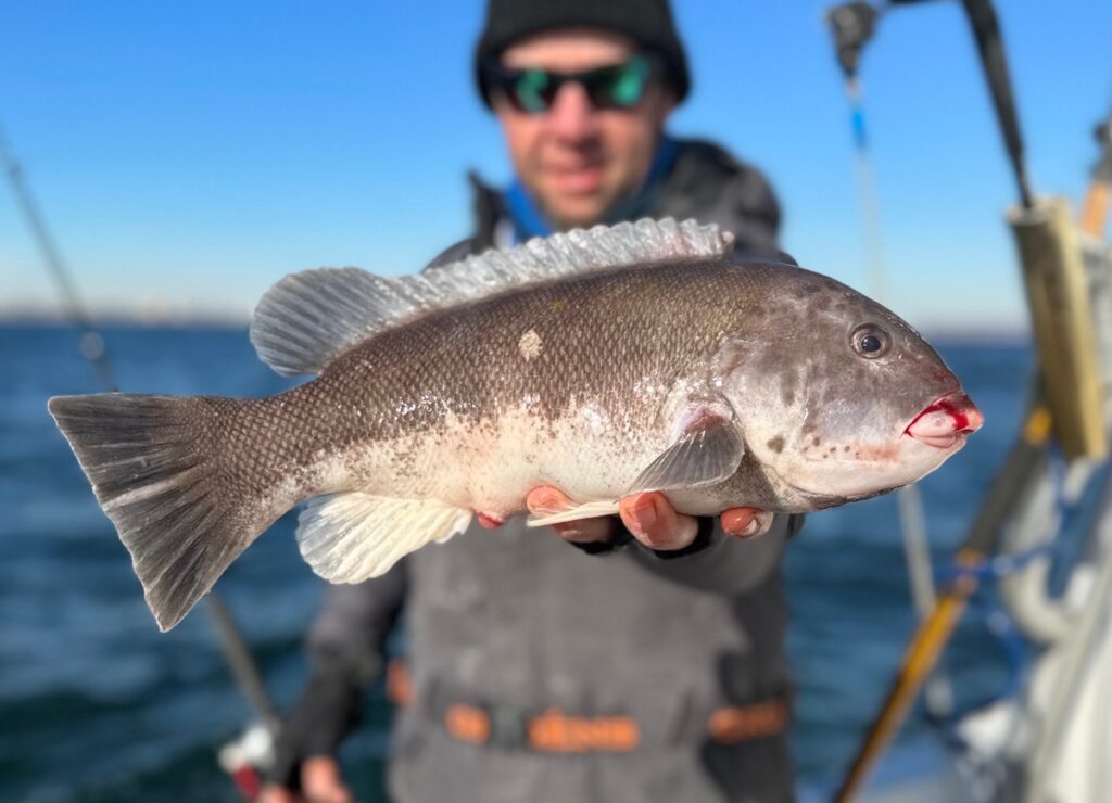 Winter Saltwater Fishing: How to Fish for Cod, Tautog, and Ling in Blizzard Temps