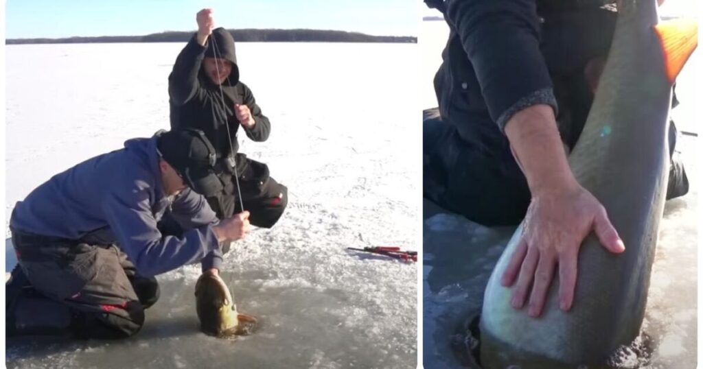 Video: Ice Fishing . . . for Giant Muskies?