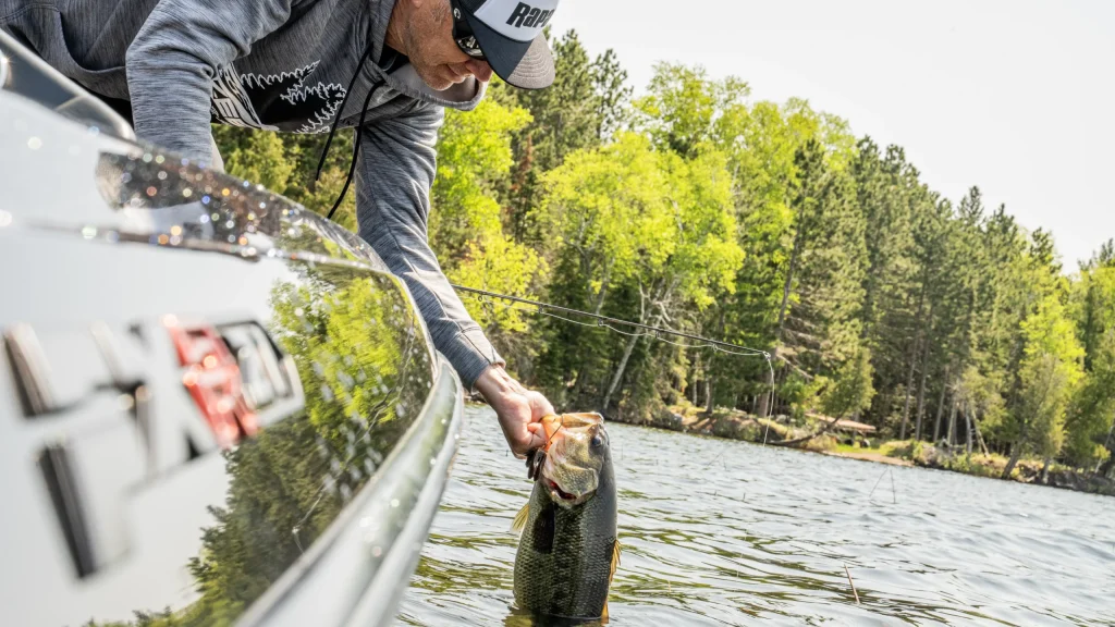 Bass Fishing Emerging Cover | Late Spring Tips
