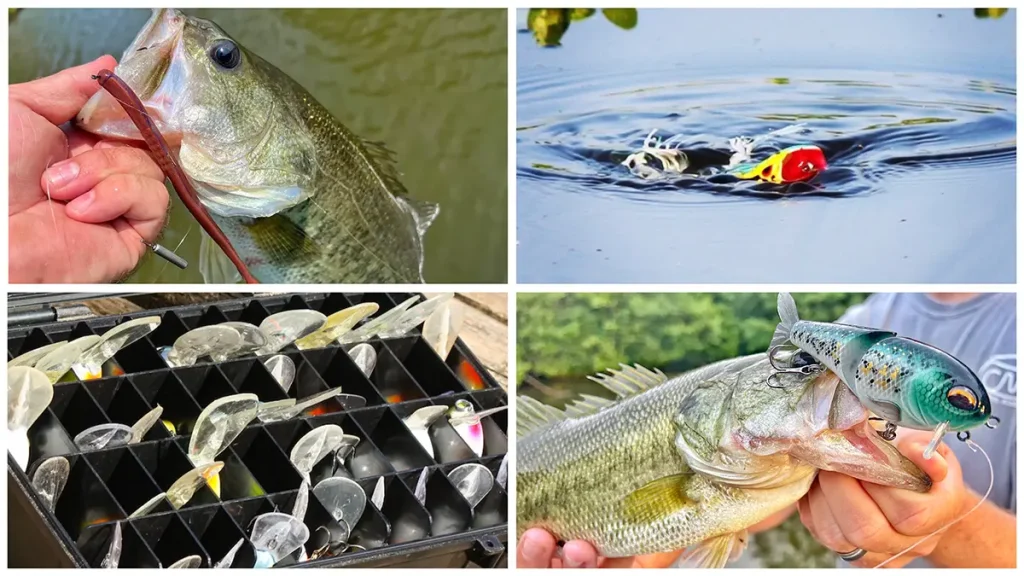 What We're Throwing in June