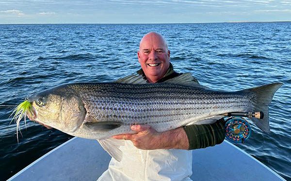 Fishing Guide Makes One Cast & Catches World Record Striped Bass On A Fly Rod